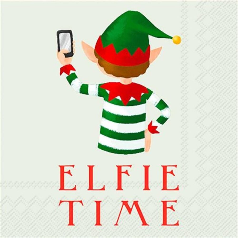 2 Paper Napkins 20-Count Cocktail Size Elfie Time Boston International 3-Ply new
